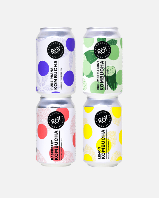 Vier ROY Bio-Kombucha-Dosen im Probierset auf weißem Hintergrund, in den Sorten Pure Prana, Cucumber Mint, Raspberry, Zitron.