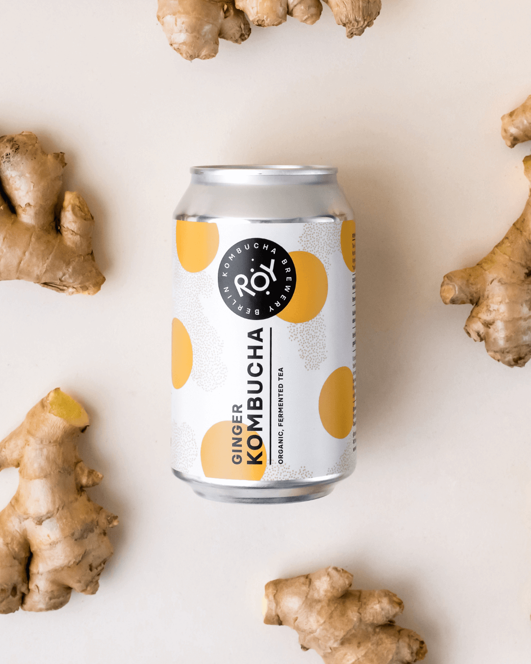 Dose Roy Ginger Kombucha umgeben von frischem Ingwer auf hellem Hintergrund.