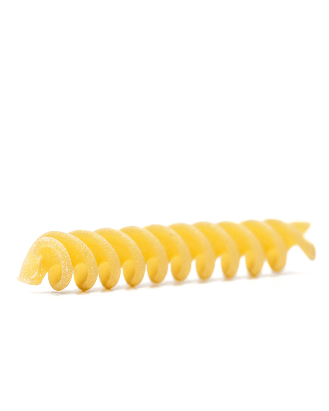 Detailansicht einer einzelnen Fusilli Lunghi von Mancini mit rauer Oberfläche und spiraliger Form für optimale Saucenaufnahme.