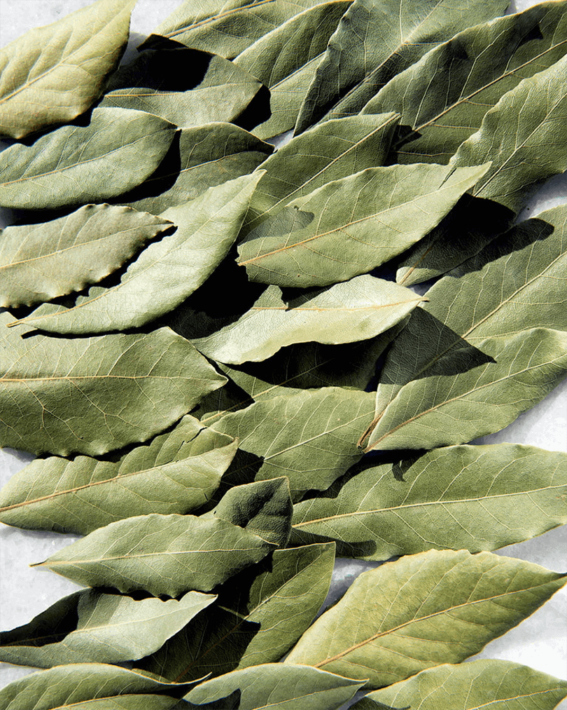 Getrocknete Lorbeerblätter in Nahaufnahme – aromatisch, mediterran, handverlesen.