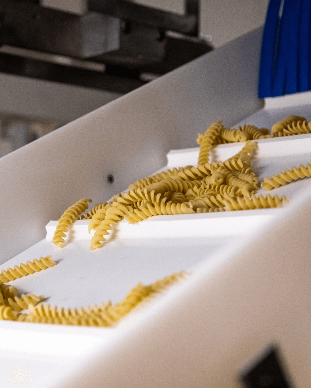 Frisch geformte Fusilli-Nudeln auf weißem Förderband in der Produktion.