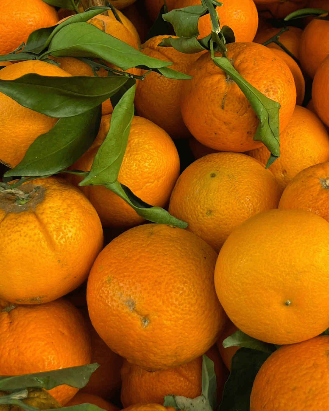 Nahaufnahme von frischen Orangen mit grünen Blättern, die die leuchtend orangefarbenen Früchte ergänzen.