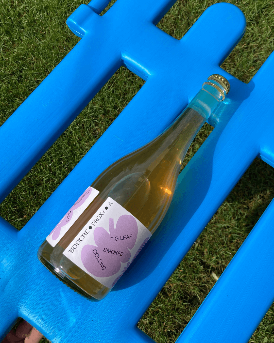 Eine Flasche Proxy A von Bouche liegt auf einem blauen Kinderspielgitter aus Plastik, beide liegen im Gras.