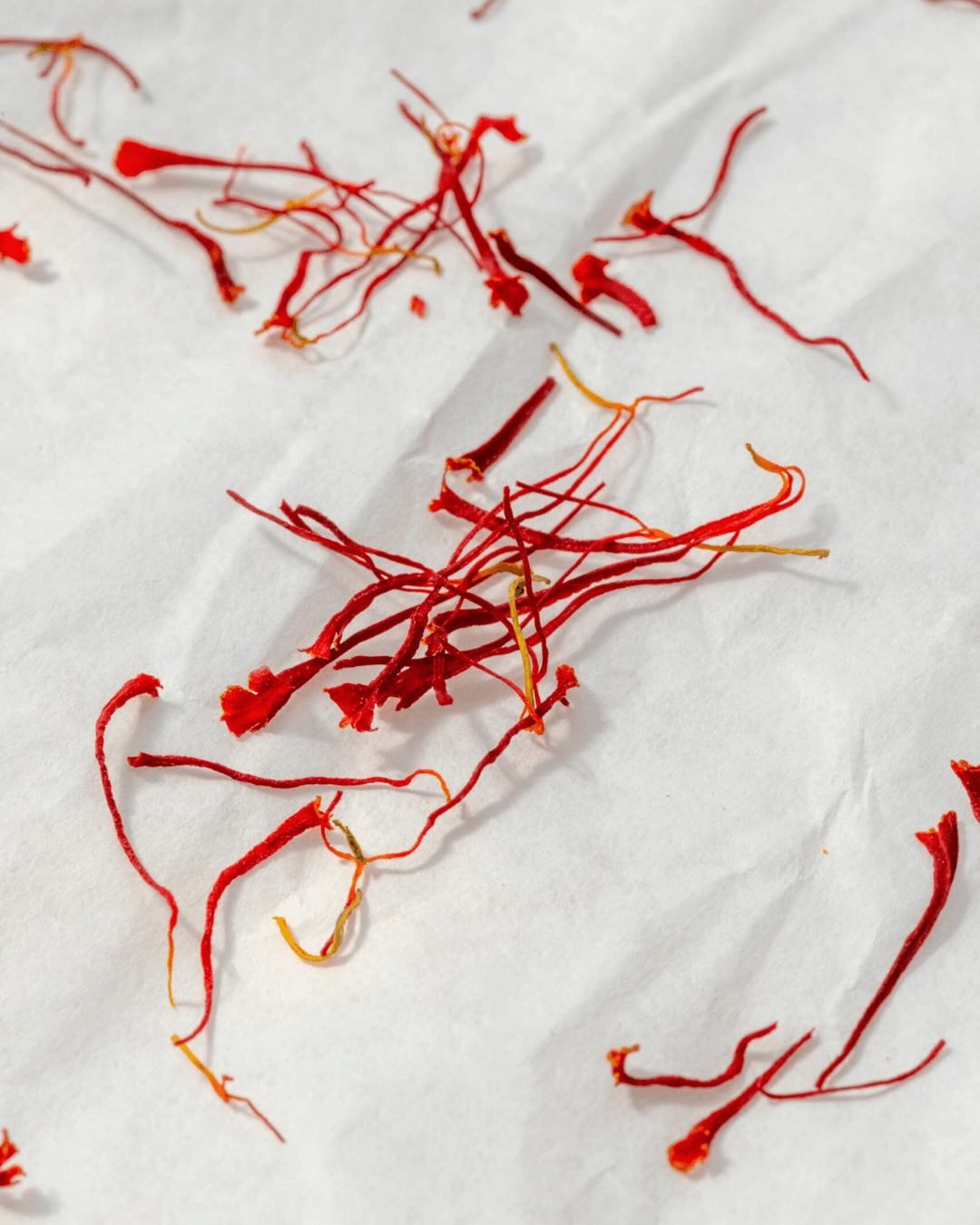 Intensive rote Safranfäden lose auf weißem Papier.