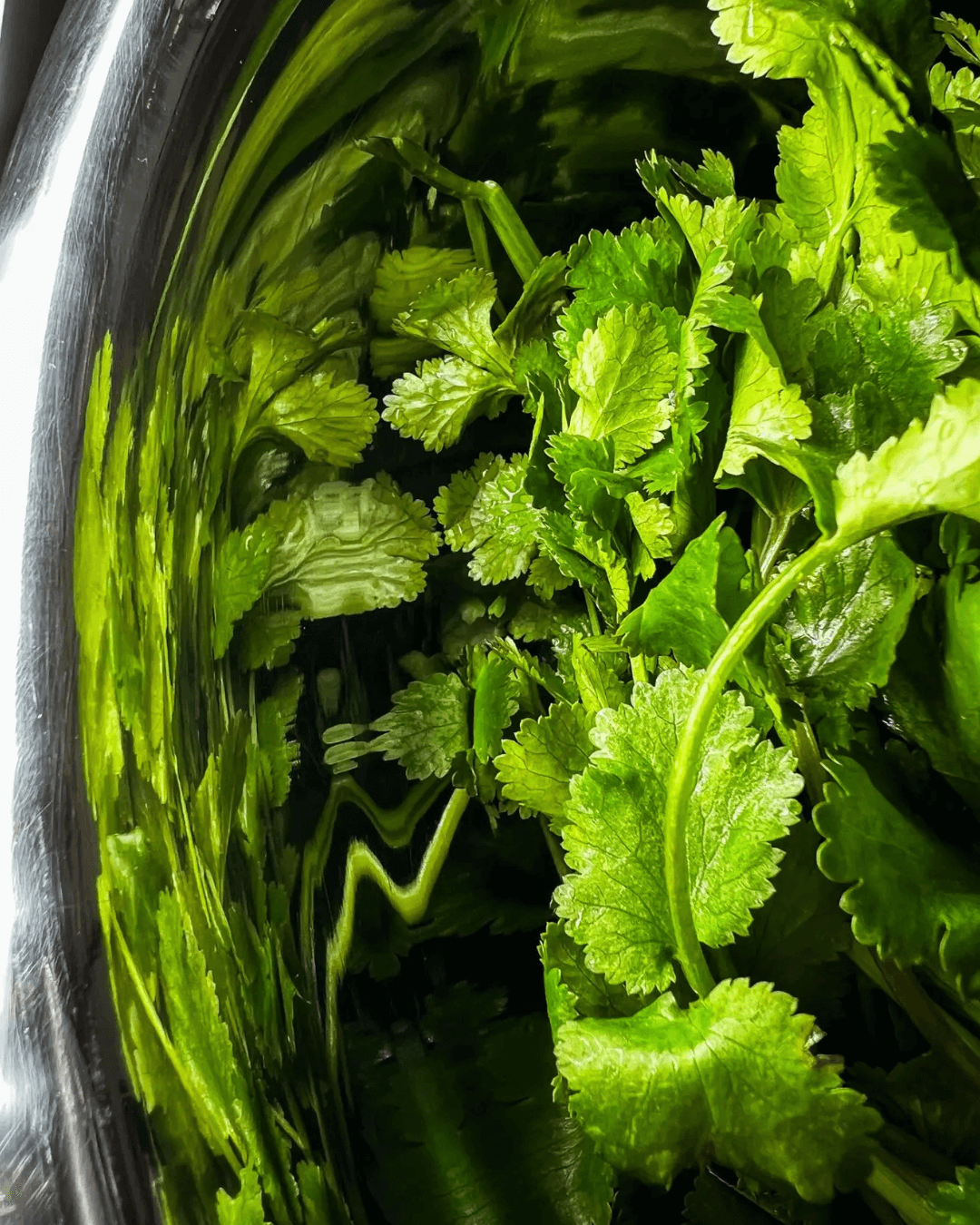 Zhug Hot Sauce, 100ml - Limitierte Edition