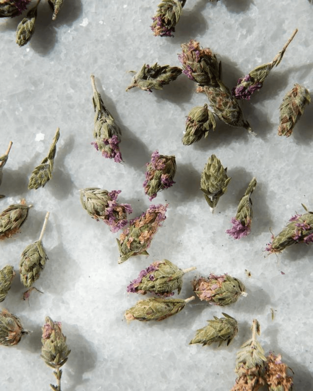 Wild Thyme Flowers, 14g