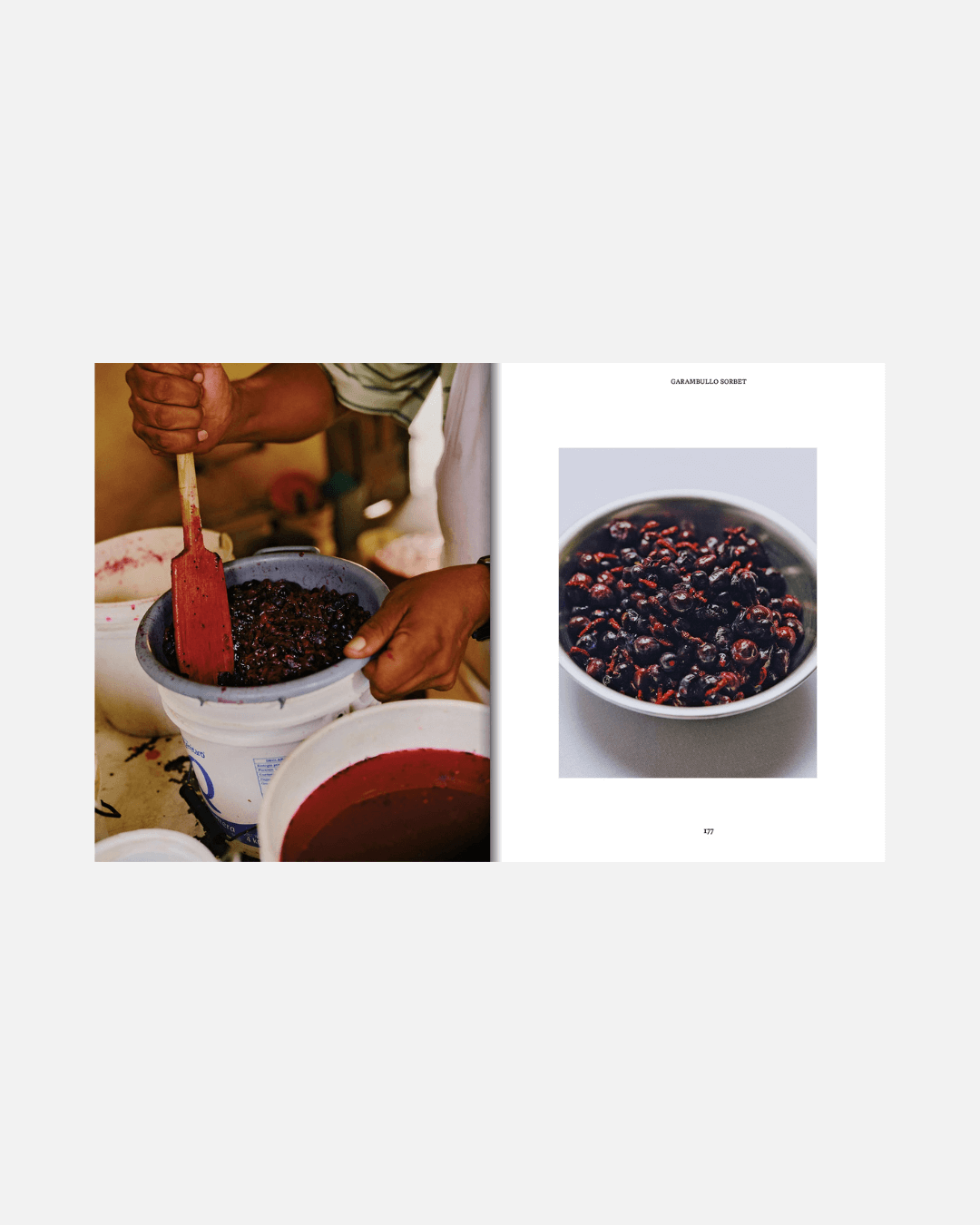 Kochbuch El Bajío: Recipes & Wanderings Through Mexico’s Heartland (Englisch)