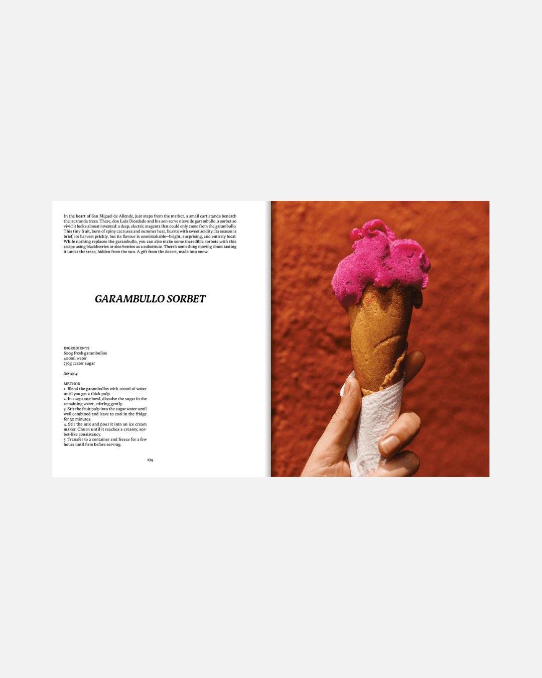 Kochbuch El Bajío: Recipes & Wanderings Through Mexico’s Heartland (Englisch)