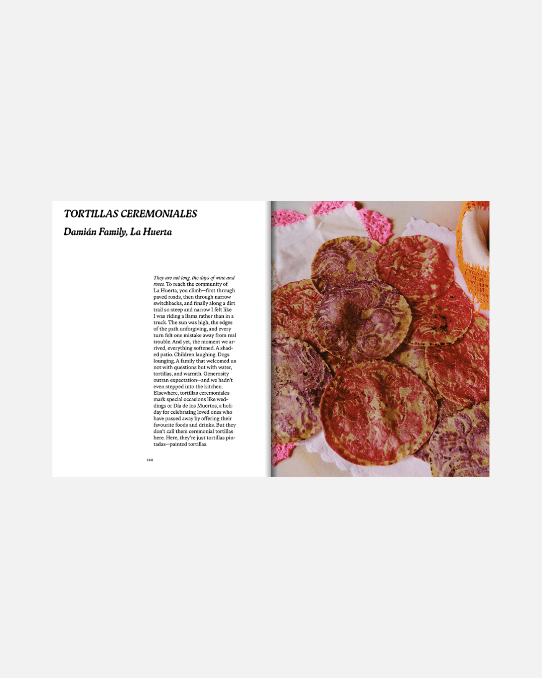 Kochbuch El Bajío: Recipes & Wanderings Through Mexico’s Heartland (Englisch)