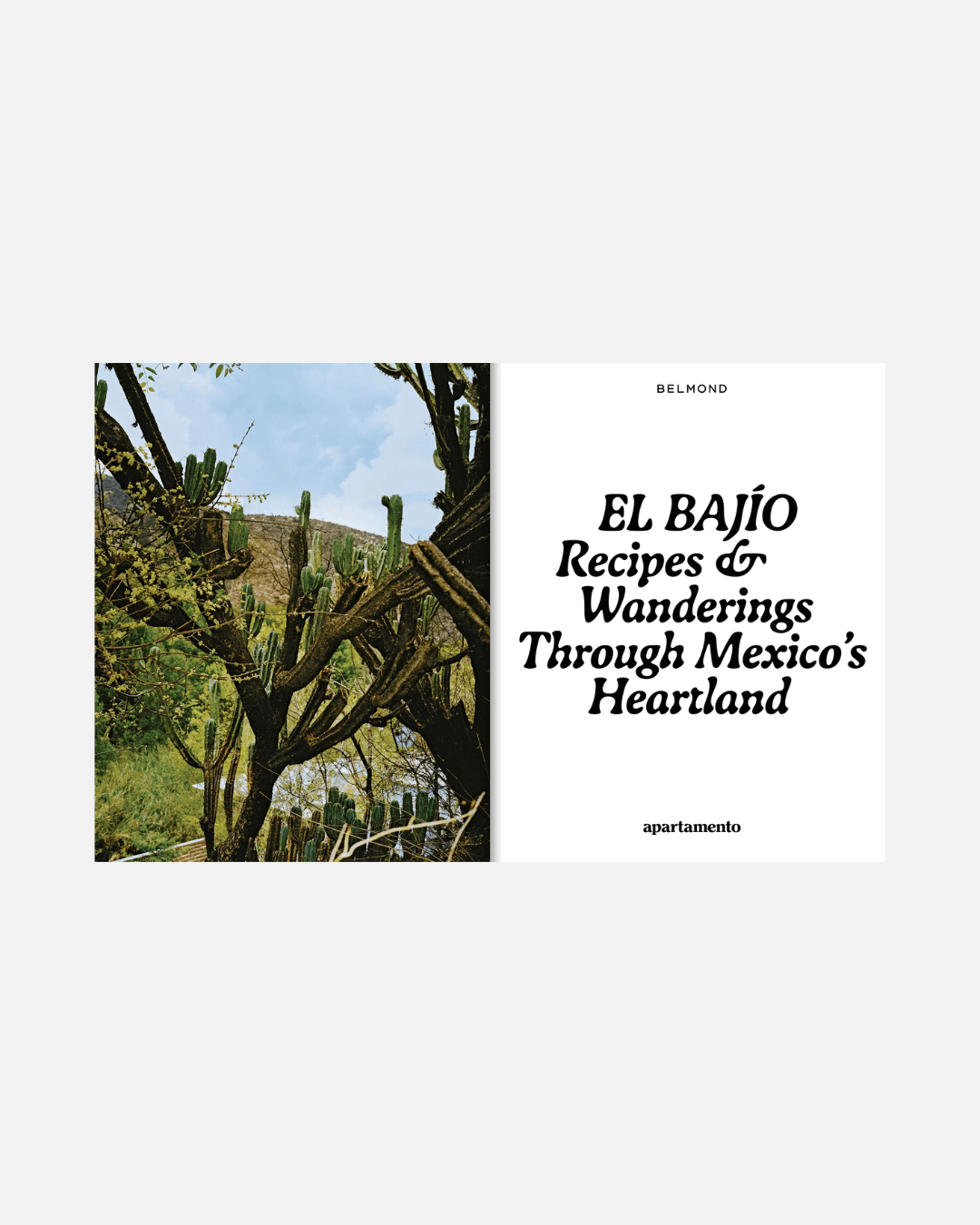 Kochbuch El Bajío: Recipes & Wanderings Through Mexico’s Heartland (Englisch)