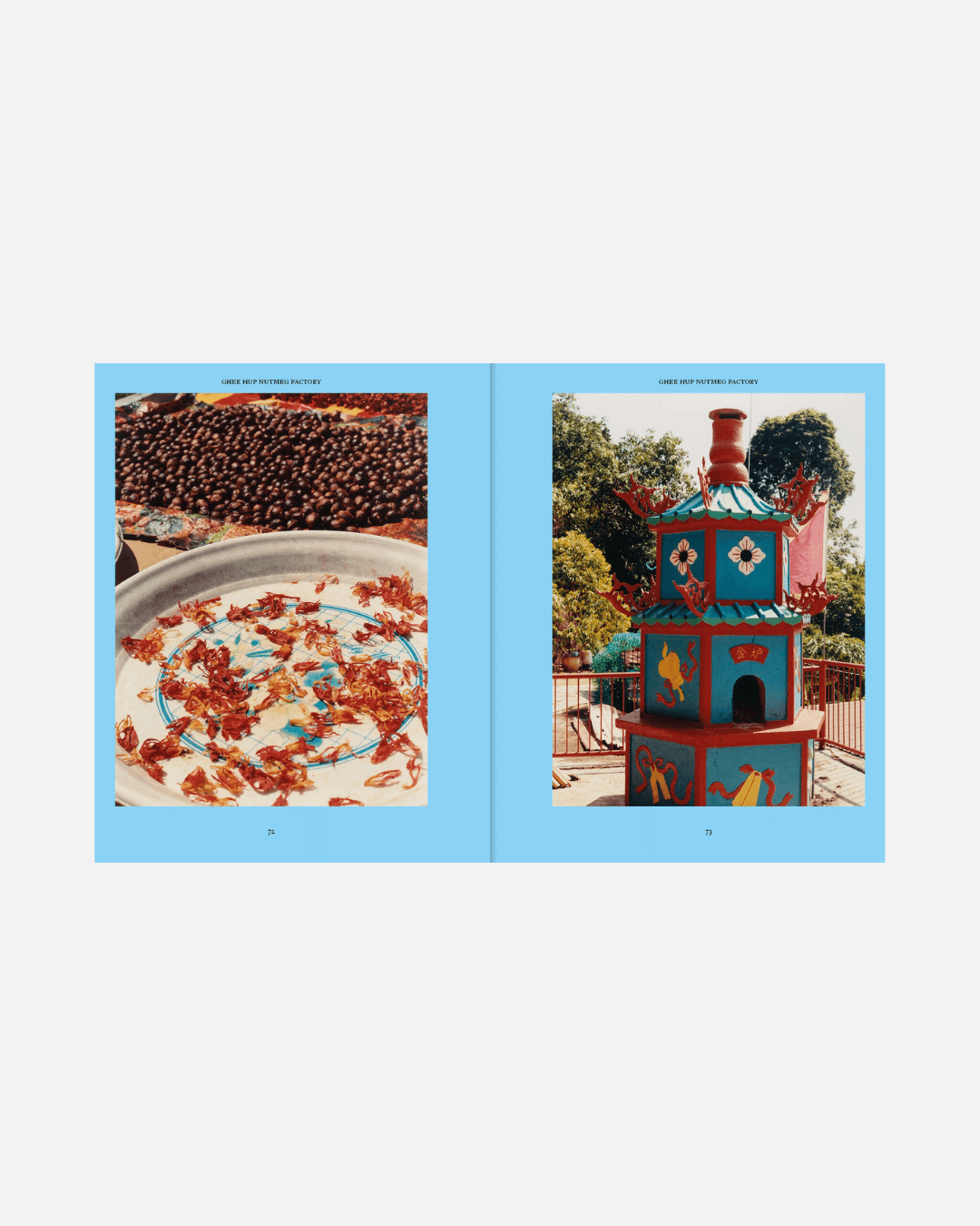 Kochbuch Penang: Recipes & Wanderings Around an Island in Malaysia (Englisch)