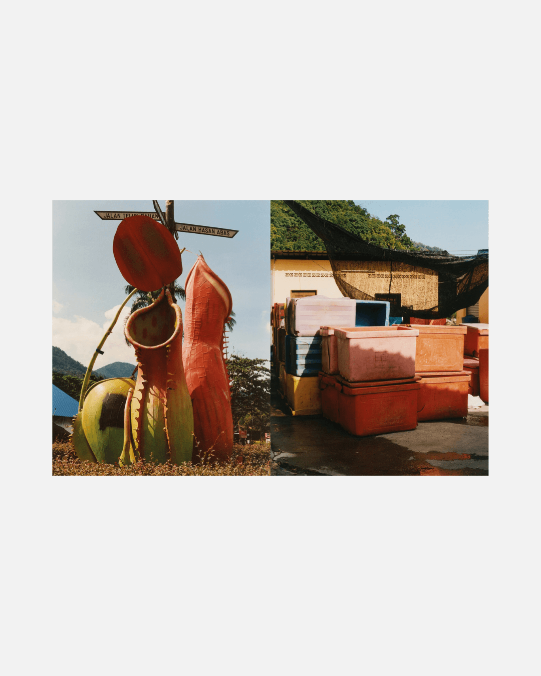 Kochbuch Penang: Recipes & Wanderings Around an Island in Malaysia (Englisch)