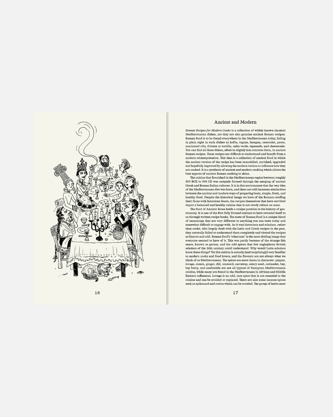 Kochbuch Roman Recipes for Modern Cooks, Sally Grainger (Englisch)