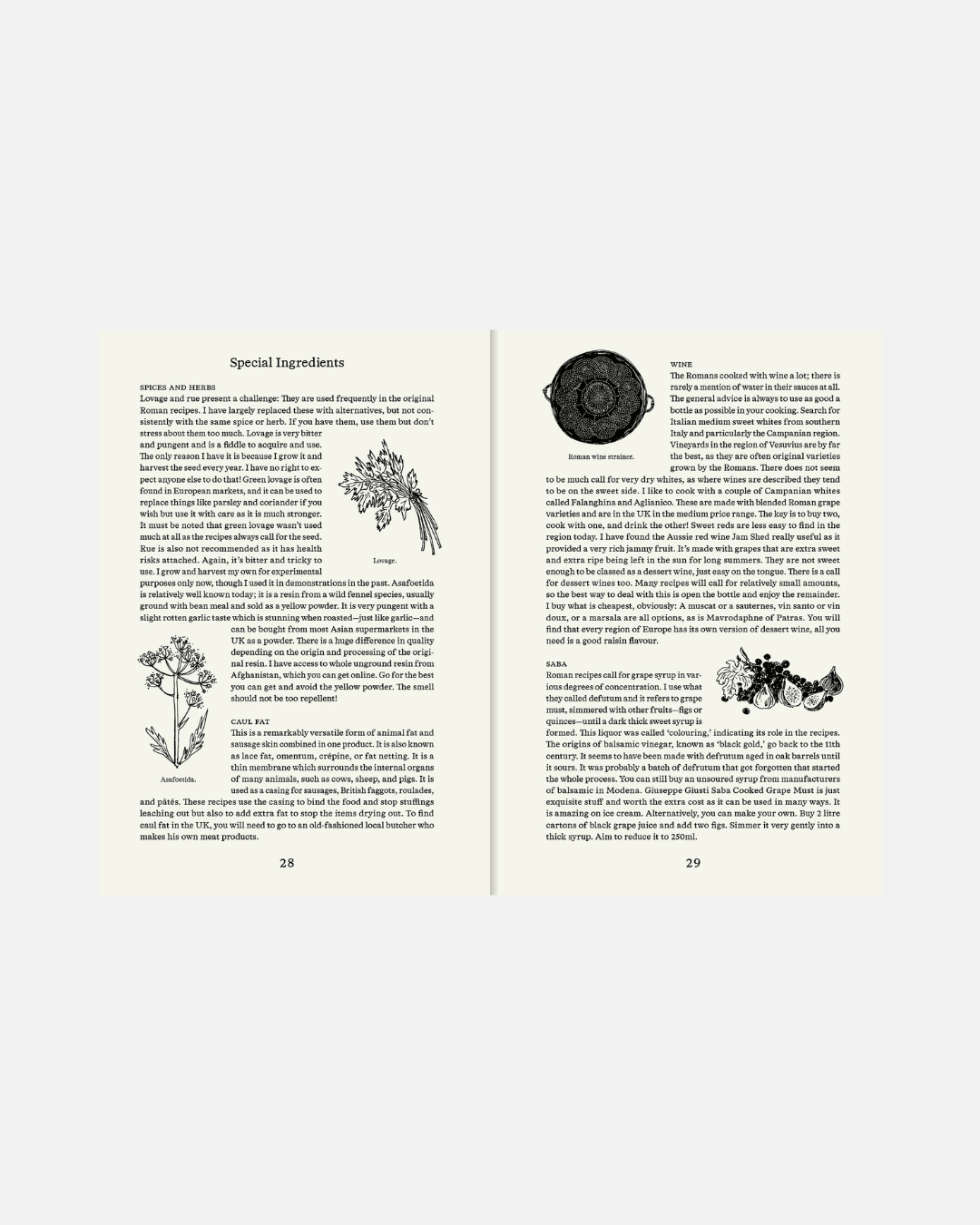 Kochbuch Roman Recipes for Modern Cooks, Sally Grainger (Englisch)