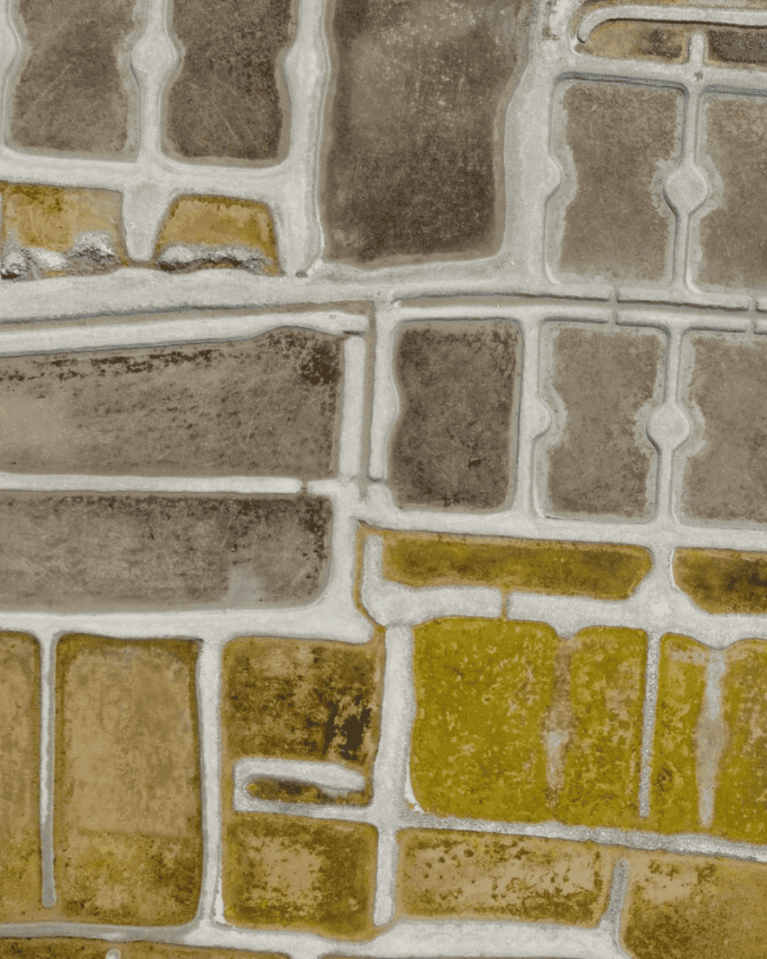 Feines Guérande Meersalz, 500g