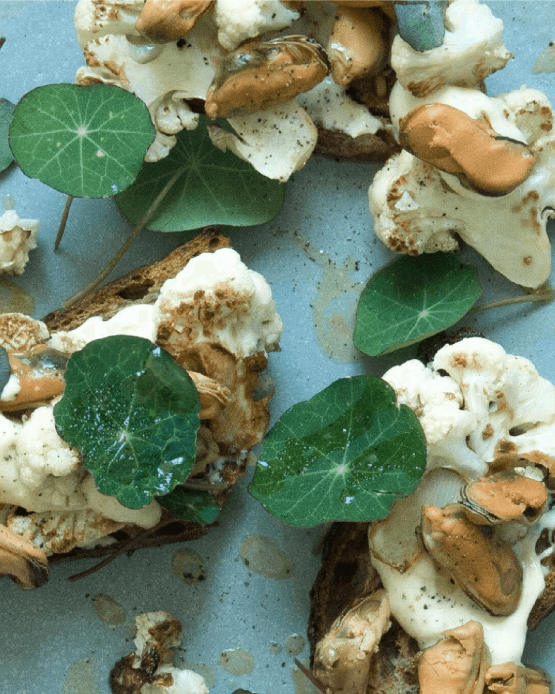 Limfjord Blaumuscheln, über Buchenholz geräuchert, 100g