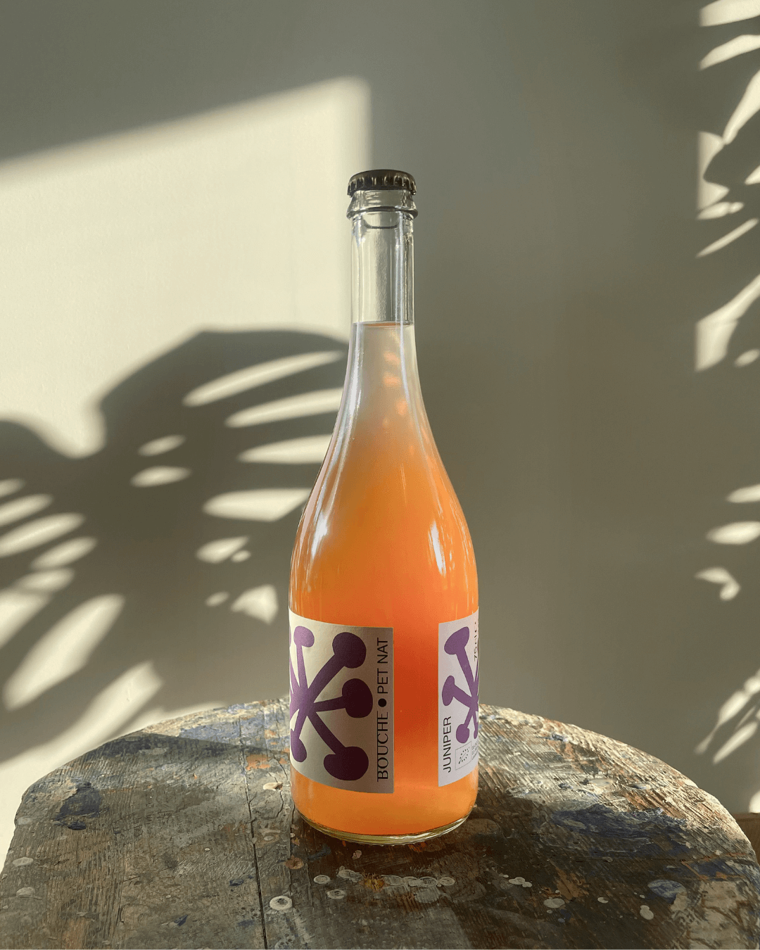 Flasche orangefarbener Juniper Pet Nat Kombucha von Bouche einer Holzfläche, im Hintergrund Schatten auf einer hellen Wand.