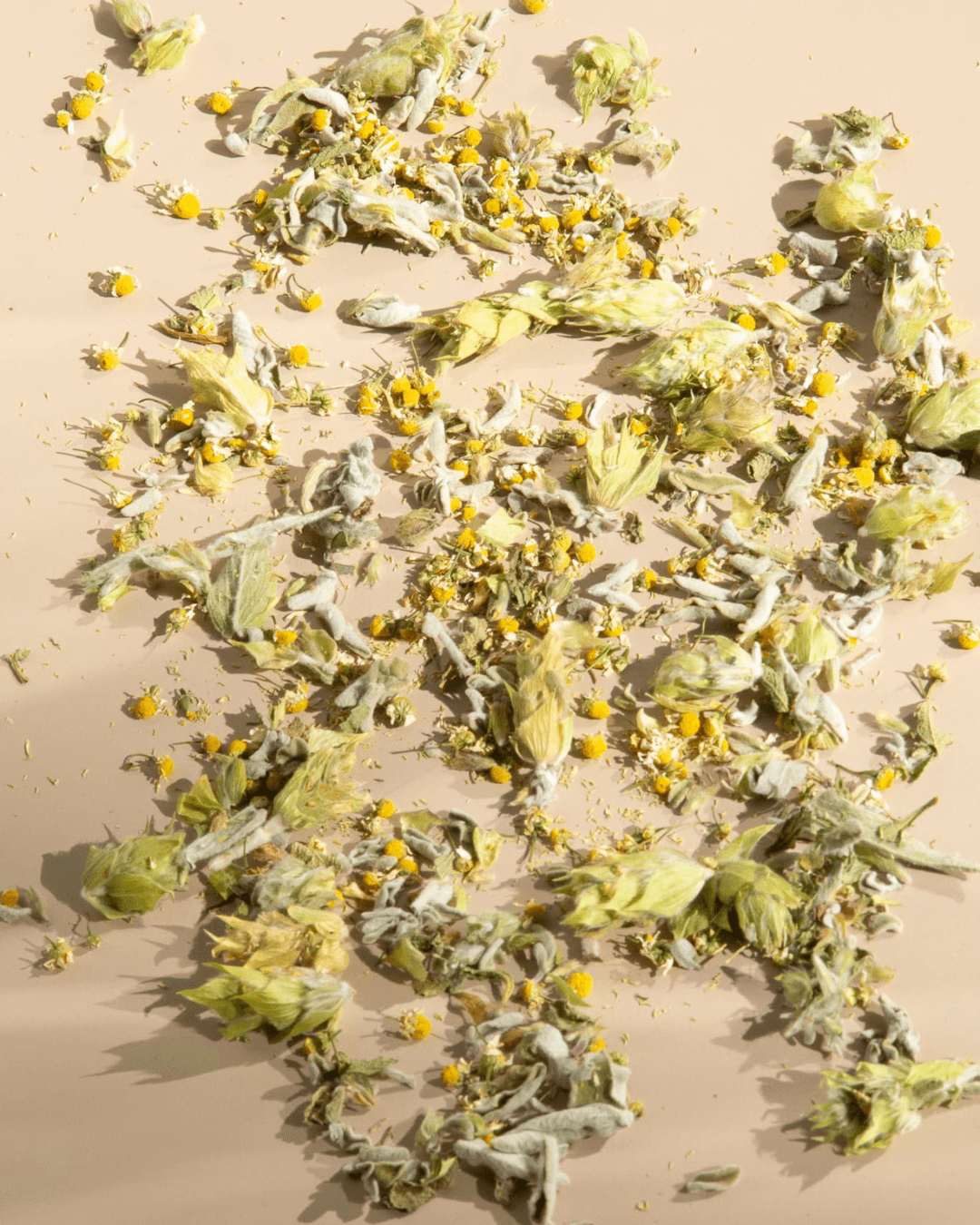 Kräutertee Recovery, 25g