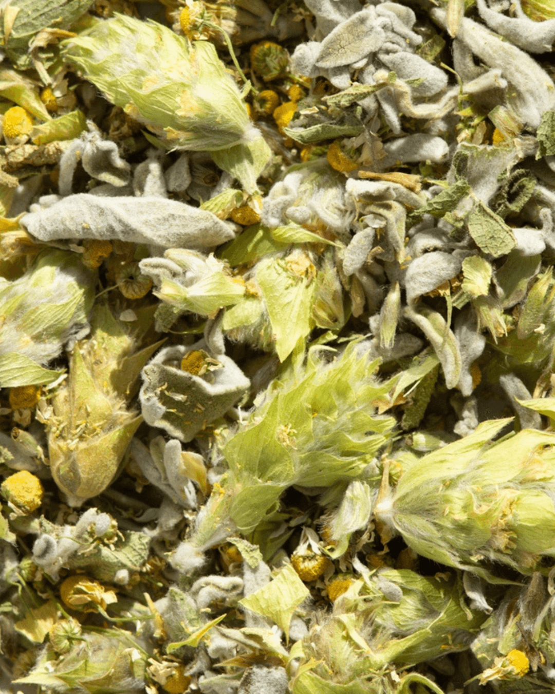 Kräutertee Recovery, 25g