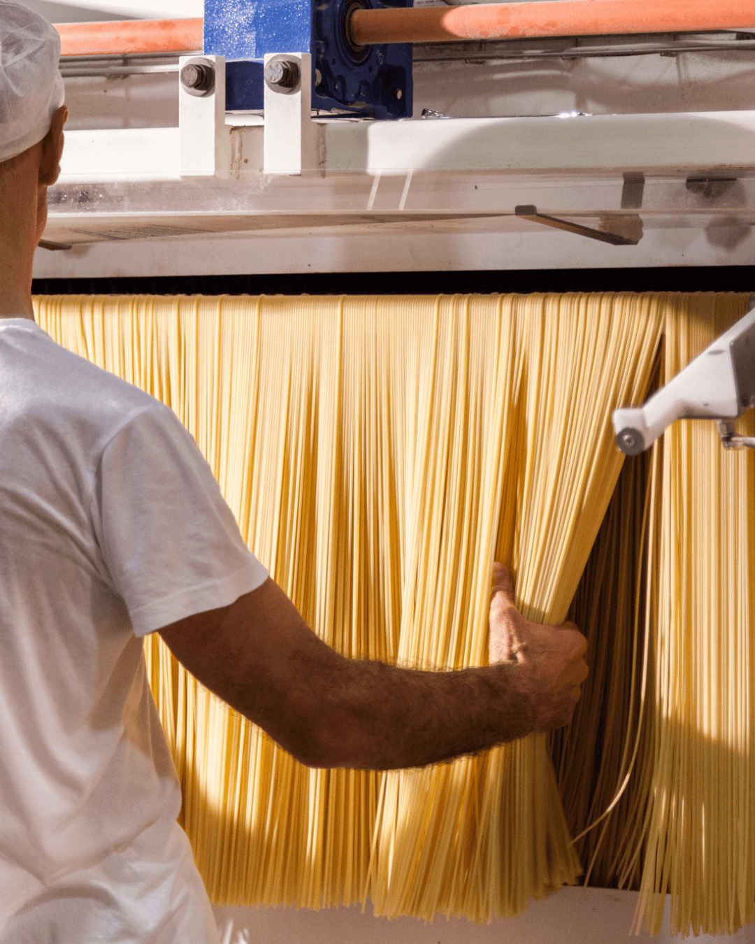 Mitarbeiter prüft frisch produzierte Spaghetti in einer Pastamanufaktur.