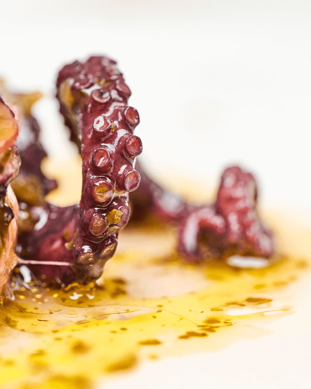 Octopus in Chimichurri and Extra Virgin Olive Oil, 110g