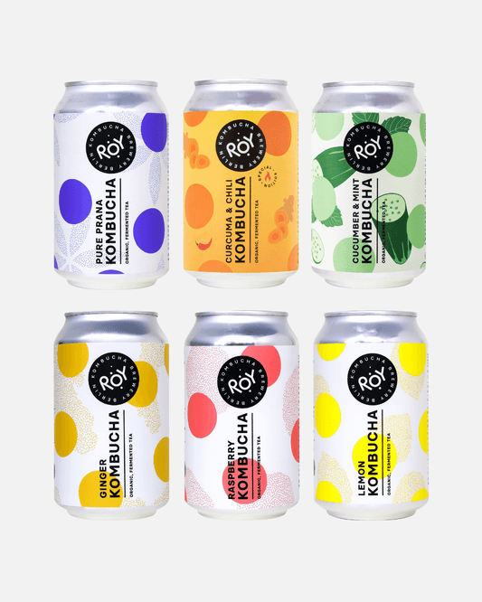 Sechser-Set ROY Bio-Kombucha in verschiedenen Geschmacksrichtungen, farbenfrohe Dosen mit modernem Design.