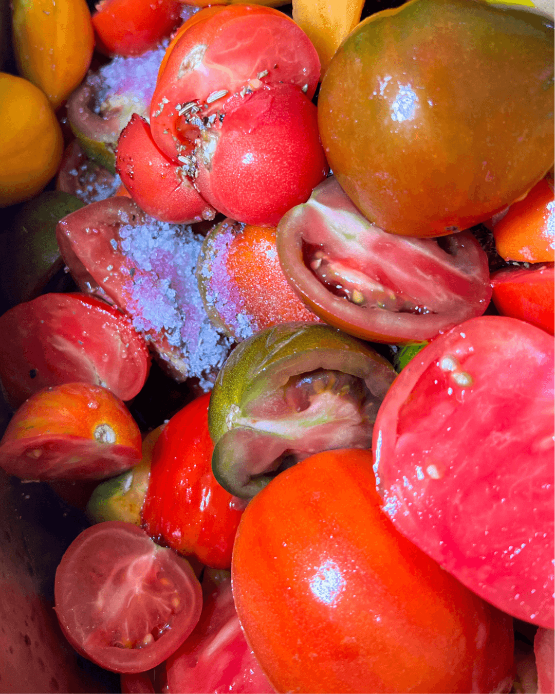 Bunte, aufgeschnittene Tomaten mit grobem Salz und Gewürzen bestreut, bereit zur Verarbeitung.