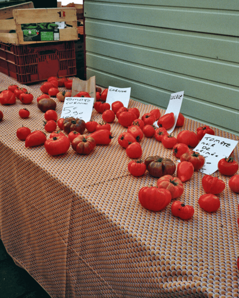 Marktstand mit verschiedenen Tomaten auf Tisch mit Schildern für Sorten und Preise.